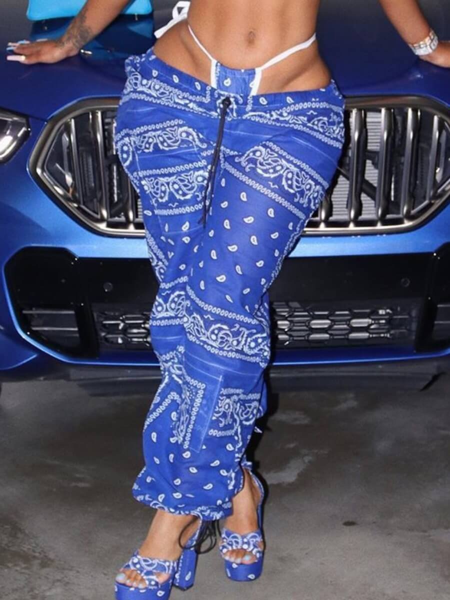 

Lovely Bohemian Print Blue Pants