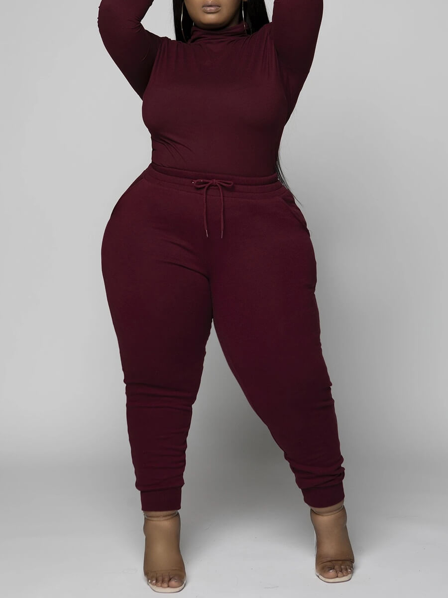 

Lovely Casual Turtleneck Basic Skinny Wine Red Plus Size Two-piece Pants Set