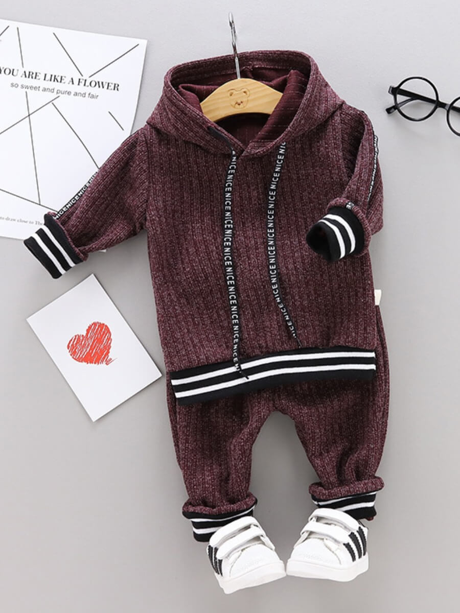 

Lovely Sportswear Hooded Collar Patchwork Dull Red Boy Two-piece Pants Set