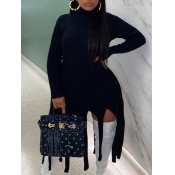 Lovely Plus Size Turtleneck Tassel Design Dress