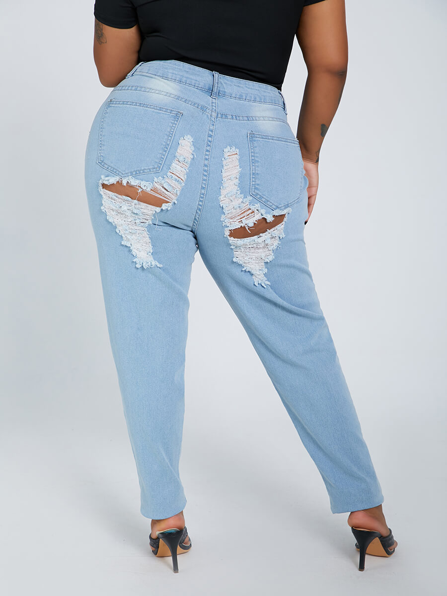 

Lovely Sexy Broken Holes Baby Blue Plus Size Jeans