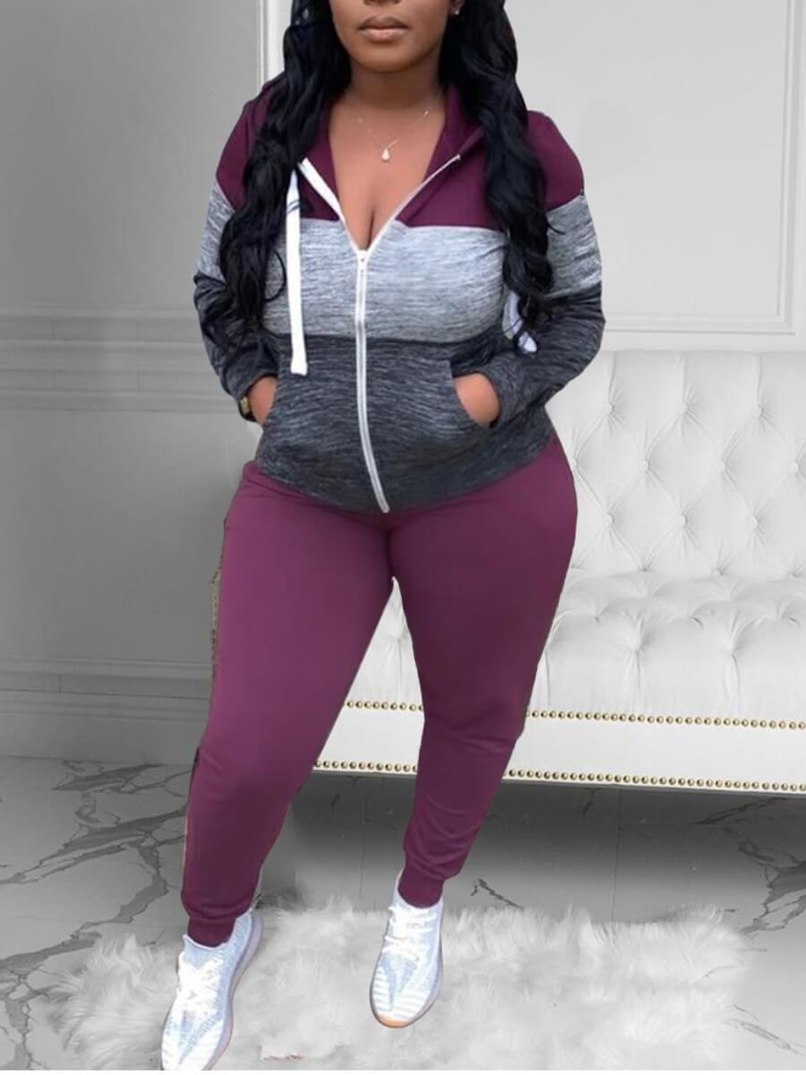 

Lovely Sportswear Hooded Collar Color-lump Stitching Purple Plus Size Two Piece Pants Set