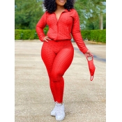 Lovely Sportswear Turndown Collar Zipper Design Re