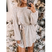 Lovely Christmas Day Sequin Silver Dress