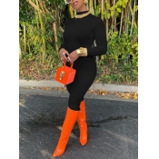 Lovely Casual Half A Turtleneck Basic Skinny Black