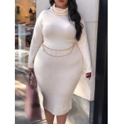 Lovely Casual Turtleneck Long Sleeve White Mid Cal