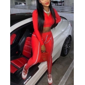 Lovely Sportswear V Neck Striped Red Two Piece Pan