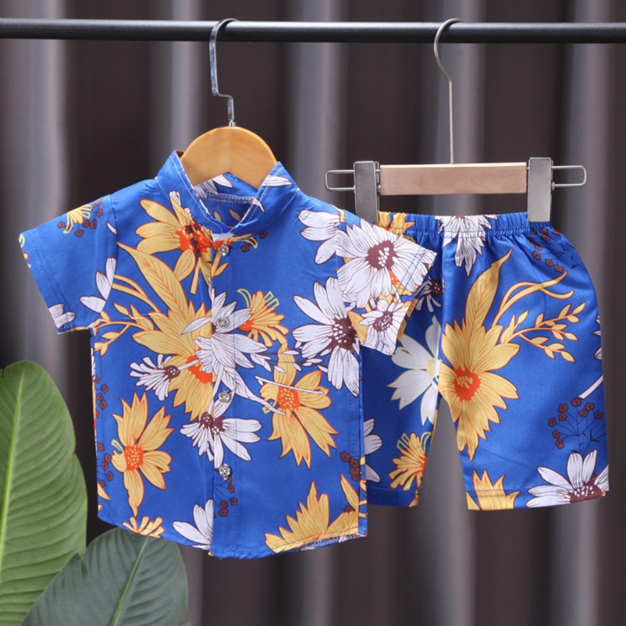 

Lovely Boy Boho Mandarin Collar Floral Print Baby Blue Two Piece Shorts Set