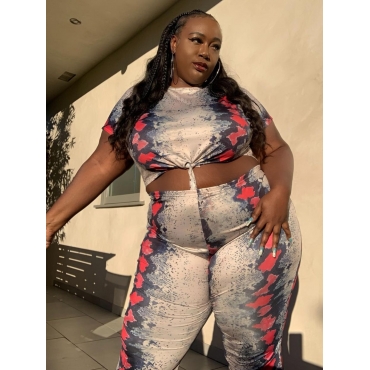 

LW Plus Size O Neck Leopard Print Pants Set
