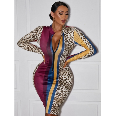 

LW Leopard Print Striped Dress