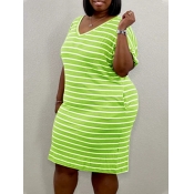 LW Plus Size V Neck Striped Dress