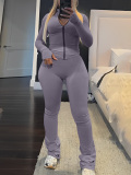 LW BASICS Casual Milk Fiber Mandarin Collar Solid Color Long Sleeve Two-piece Pants Set